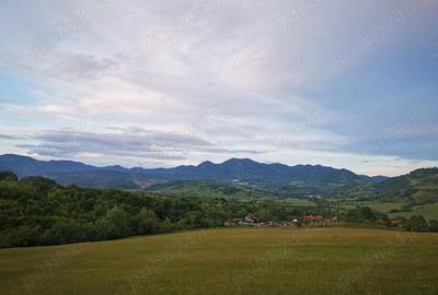 Teren de 4394 mp, în Bârsău - 2