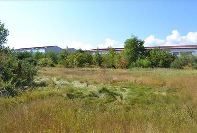 Teren HALE Bacau - 1