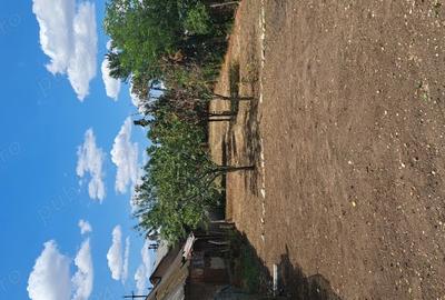 Casă cu 5 camere cu Teren 820 Mp în Central - 1