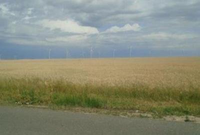 Teren Extravilan Corni, Cota parte 1/2, ID: R2581783 - 1