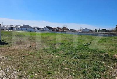 Teren de 1926 mp, în Priseaca - 5