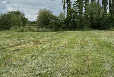 Teren de 3800 mp, în Găești - 2