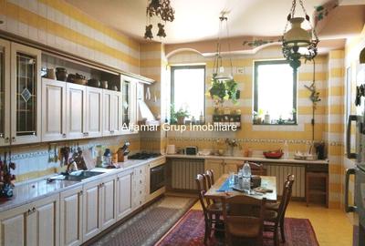 Vila 9 camere Cotroceni- Parcul Operei - 20