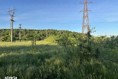 Teren de 10000 mp, în Budeasa - 7