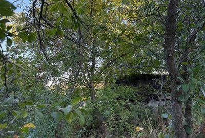 Vand teren 1300 mp inclusiv casa 70mp Racoasa, judetul Vrancea. Vand teren 1300 mp inclusiv casa 70mp Racoasa, judetul Vrancea. - 4