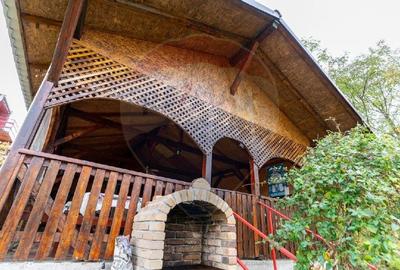 Casa / Vila de vanzare in Cristur jud.Hunedoara - 24