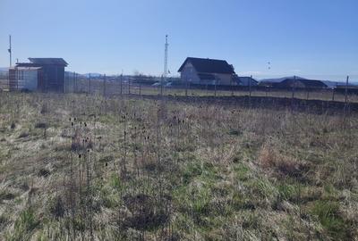 Teren Construcții intravilan de 600 mp, în Bod - 2