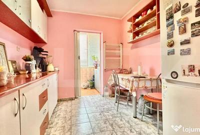 Apartament cu 2 camere decomandat în Nufărul - 5