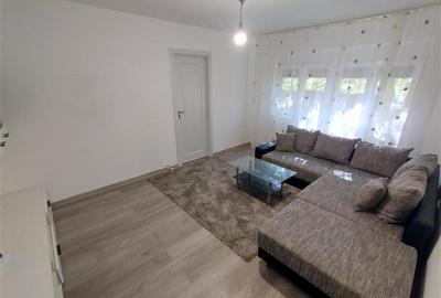Apartament cu 2 camere semidecomandat, mobilat în Vest - 12