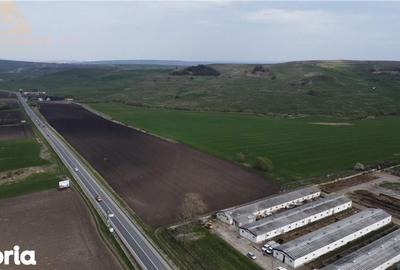 Teren de 40000 mp, în Ilișești - 4