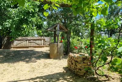 Casă cu 2 camere în Voivozi (Șimian) - 8