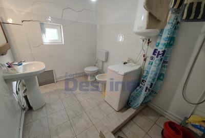 Casa langa PĂDURE + anexe + 6400 mp TEREN intravilan - sat HĂRPĂȘEȘTI - 12