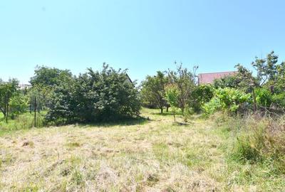 Casa de vanzare, P+M-zona Girocului Timisoara-comision 0 - 15