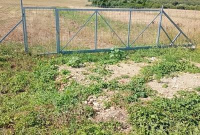 Teren de 6100 mp, în Bencecu de Jos