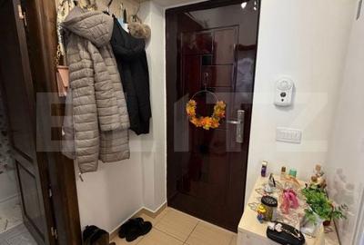Apartament cu 2 camere decomandat în Paltin