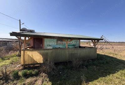 Spațiu comercial, în Păușa - 18