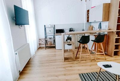 Apartament 2 camere de inchiriat Central, zona Teatrului, Arad - 3