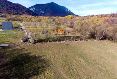 Teren Construcții intravilan de 2500 mp, în Tohănița - 15