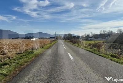 Teren de 5300 mp, în Arcalia - 6