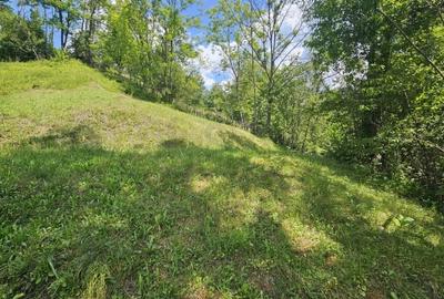 Teren agricol intravilan de 2500 mp, în Valea Doftanei - 8