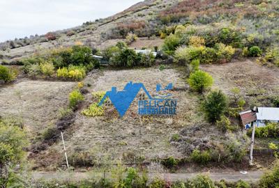 Teren intravilan NICULITEL, zona deosebita, 3044MP - 13