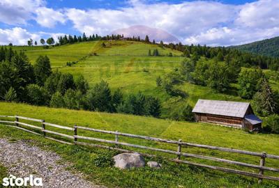 Teren de 6500 mp, în Arieșeni - 1