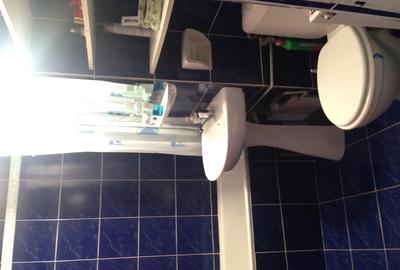 Persoana fizica, 3 camere, Racadau - 2