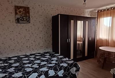 Garsonieră decomandată în Malu Roșu - 1
