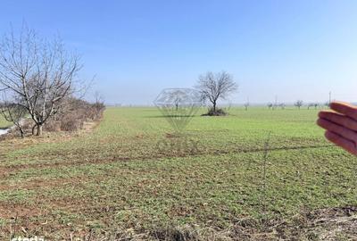 Teren de 3000 mp, în Central