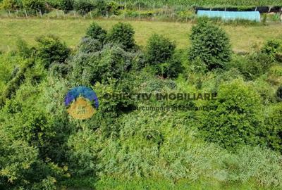 Teren intravilan com. Alexandru cel Bun- Viisoara - 10