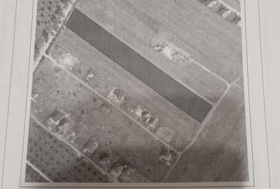 Teren intravilan 10.000 mp - 1