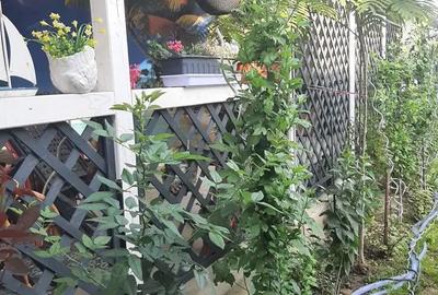 Casă cu 5 camere în Sânnicolau Mare - 1