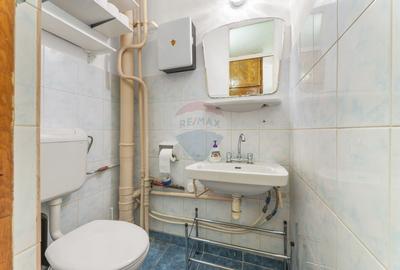 Apartament cu 3 camere decomandat, mobilat în Alfa - 13