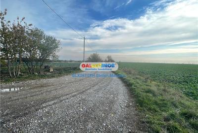 VANZARE TERENURI INTRAVILANE SI EXTRAVILANE - BAICOI, PRAHOVA - 3