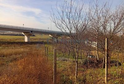 Teren intravilan de 1117 mp  aproape de Calea Bihorului ,Oradea,Gaminvest,V4375 - 3