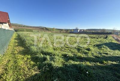 Teren de vanzare intravilan Sura Mare Hamba 700mp zona deosebita - 2