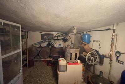 Casa impunatoare D+P+1 cu 709 mp teren si toate utilitatile in Balta Verde - 4