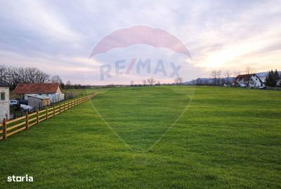 Teren de 4000 mp, în Vințu de Jos - 4