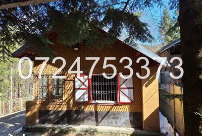 Casă cu 2 camere cu Teren 527 Mp în Măneciu - 6