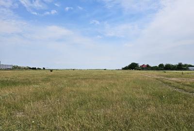 3000 m2 plasat exceptional, vest de Voluntari 3000 m2 plasat exceptional, vest de Voluntari - 7