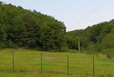 Teren de 1690 mp, în Răchițele de Jos - 6