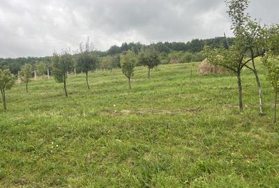 Teren de 750 mp, în Unirea - 3