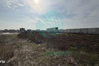 Teren de 826 mp, în Măgurele - 2