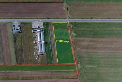 Teren comercial / industrial | 7,500mp Strada Zizinului | Tarlungeni - 3