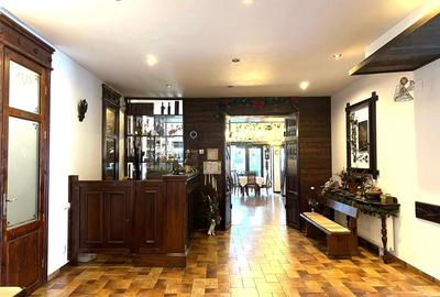 Pensiune agroturistica de vanzare in localitatea Horodnic de Sus jud.Suceava - 10