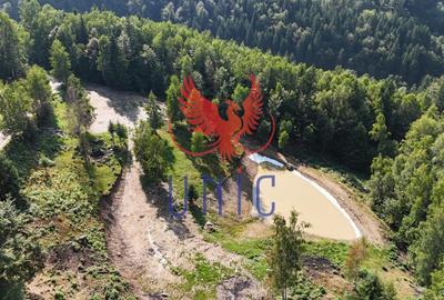 Teren Construcții extravilan de 18000 mp, în Exterior Est - 3