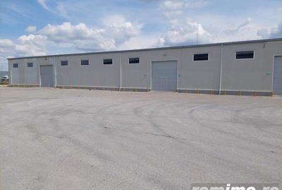 Spațiu comercial, de 5,000 mp, în Ștefăneștii de Jos - 3