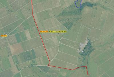 Teren de 5000 mp, în Movilița - 3