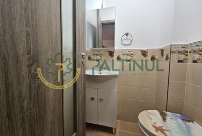 Apartament cu 3 camere decomandat în Șelimbăr - 19