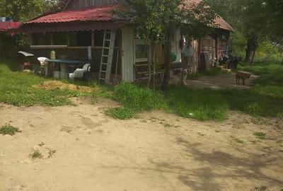 Casă cu 4 camere în Cornetu - 7
